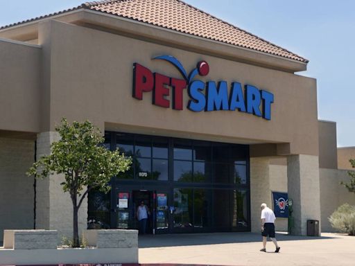 PetSmart Is on the Hunt for Their Next ‘Chief Toy Testers'