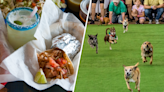 Fiesta for Cinco de Mayo with racing chihuahuas, a margarita bike, music and more around DC