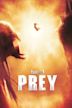 Prey (2022 film)