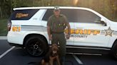 Perro policía de Carolina del Norte ayuda a niño a regresar a casa - La Noticia