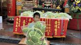 另類擲龜萌翻！ 台南文朱殿慶聖誕祭9隻「巨龜玩偶」