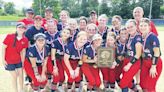 Pittston Area wins D2-5A softball championship rematch against Abington Heights - Times Leader