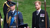 'Devastated' Harry's 'deepest upset' over rift with William exposed