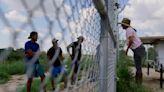 Pecan farmers get caught in power vacuum on Texas border