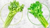 Western Celery Vs Chinese Celery: What's The Difference