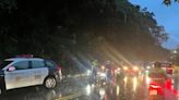 泰林山路豪雨淹水樹塌 林口警冒雨交管