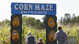 Maze craze: 25 Ohio corn mazes to stalk around and get lost in this Halloween