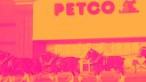 Why Is Petco (WOOF) Stock Rocketing Higher Today