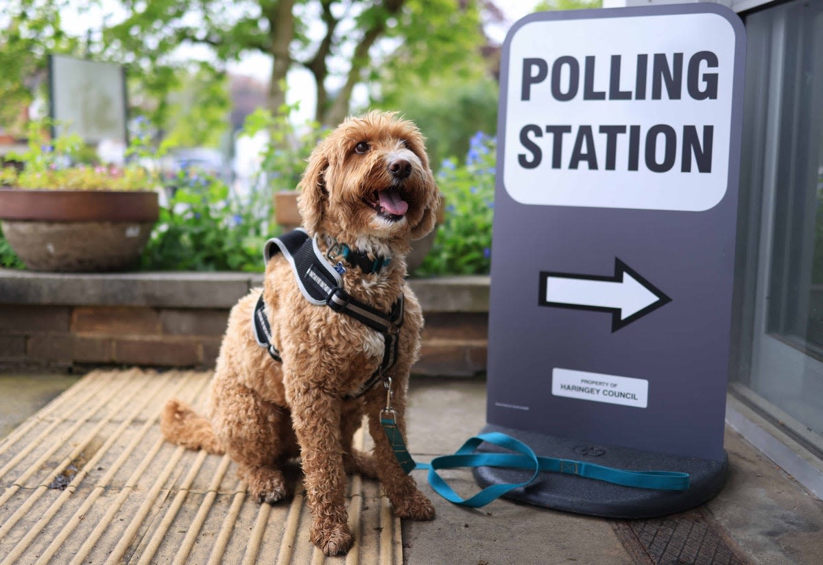 Local elections 2024 - live: Polls open for mayoral and council contests in England as Tories brace for losses