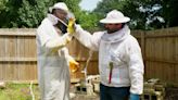Family of beekeepers educate about the hobby
