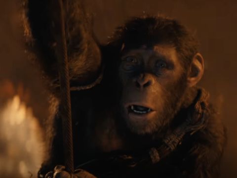 Kingdom of the Planet of the Apes Final Trailer Teases Major Monkey Deaths