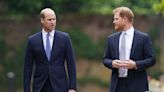 William won't see Harry on UK visit for nine-word reason