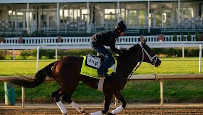 Outspoken horse racing owner hopes Fierceness can snap his Kentucky Derby hex - The Boston Globe