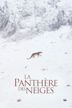 La panthère des neiges