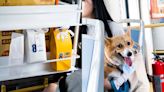 深圳巴士超進化：車上賣早餐8元一份 設汽水機 還開了寵物專線