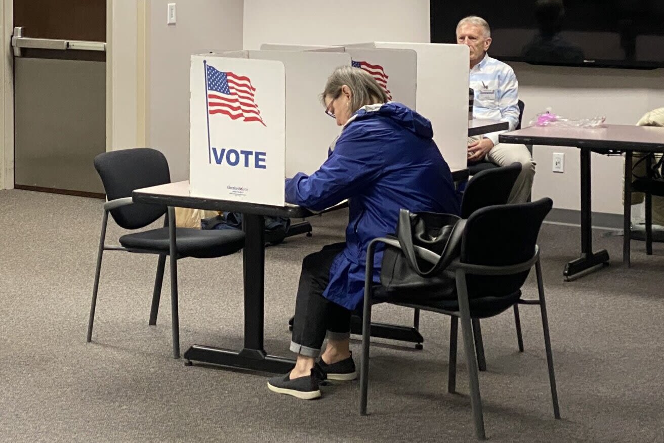 Virginia voter guide: What local races are on the ballot for the 2024 primary election - WTOP News