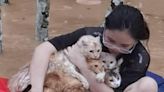 No meow left behind: Photo of woman saving cats from Penampang floods touches Sabahan hearts (VIDEO)