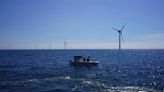 Beneath offshore wind turbines, researchers grow seafood and seaweed