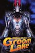 Groom Lake (film)