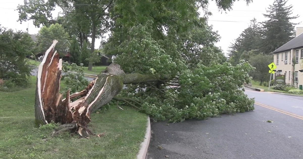 Power outages and damage reported across Pennsylvania, South Jersey and Delaware after storms
