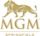 MGM Springfield