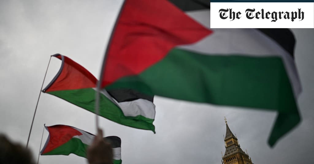 Woman ‘sexually assaulted’ at pro-Palestinian protest