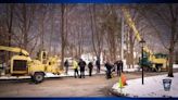 Tree worker injured, knocked unconscious, by falling branch in Cohasset