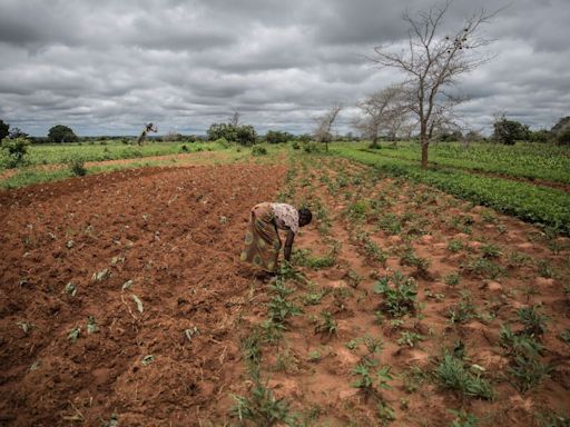 UN Agency Appeals for $228 Million to Help Drought-Hit Zambia