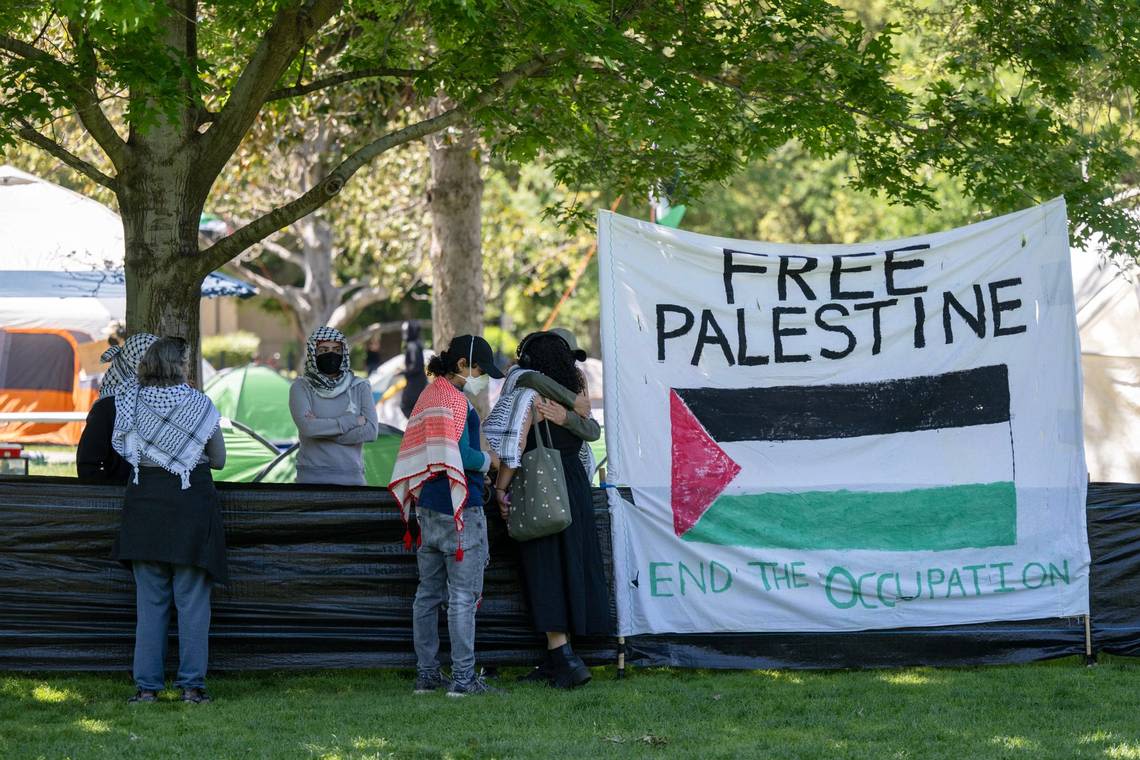 Pro-Palestine protesters erect encampment at UC Davis amid nationwide protests over war