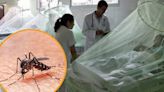 Perú registró cerca de 11 mil casos de dengue en solo una semana, según reporte del Minsa