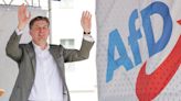 El polémico candidato de AfD a las europeas dimite de la cúpula del partido ultra y dejará la campaña