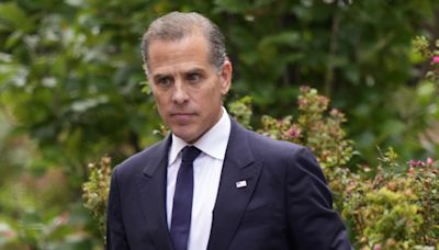 Hunter Biden’s lawyers challenge claims