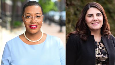 Ann Arbor-area state House seat up for grabs, 2 Democrats facing off