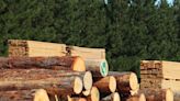 West Fraser Timber Co. Ltd. (TSE:WFG) is a favorite amongst institutional investors who own 45%