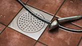 6 Reasons Why Your Shower Drain May Smell According to Plumbing Pros