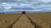 How Angus growers built cover crop broadcaster for just £4k - Farmers Weekly