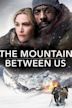 The Mountain Between Us (film)