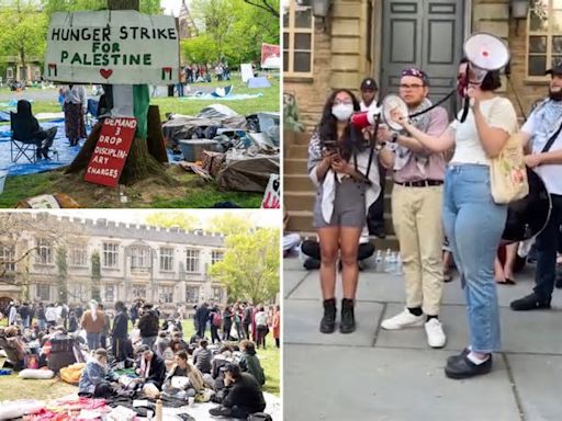 ‘Princeton Princess’ whines that she’s ‘starving,’ blames university after choosing to go on anti-Israel hunger strike
