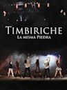 Timbiriche: La misma piedra