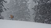 Key Northern California highway closed as snow continues to fall in the blizzard-hit Sierra Nevada