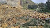 'A mountain fell on them' says rescue worker at PNG landslide site