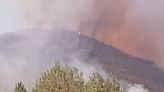 Reportan incendio forestal fuera de control en San Juan Cuautla