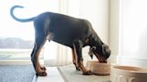 NutriSource: Has the Dog Food Brand Issued a Recall in 2024?