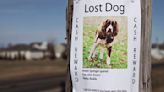 Fran Cole: What to do if you lose or find a pet in Nevada County?