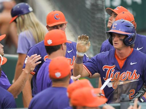 South Carolina baseball picks up second transfer from in-state rival Clemson