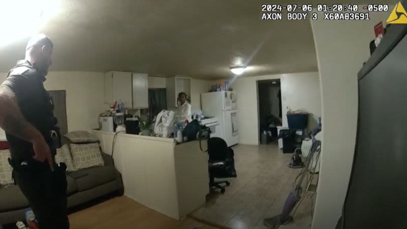 Illinois police release bodycam video of fatal shooting of Black woman in her home