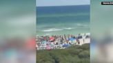 Experts weigh in on Florida shark attacks