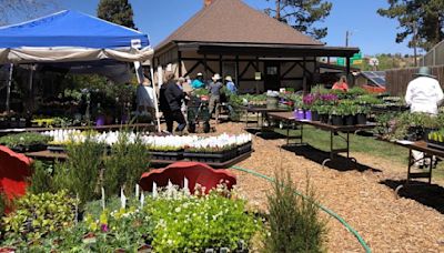 Pikes Pick: Annual spring plant sale offers greenery suited to Pikes Peak region