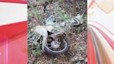 Funcionário da Copel encontra moto no 'meio do mato' em Apucarana | TNOnline