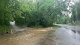 Water on roads, trees down as storms pass through East Texas